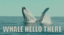 whale hellothere pun wave greeting
