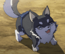 The Rising Of The Shield Hero Keel Puppy Dog GIF - The Rising Of The Shield Hero Keel Puppy The Rising Of The Shield Hero Keel GIFs