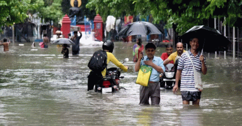 Urban Flooding GIF - Urban Flooding - Discover & Share GIFs