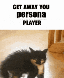 a black and white cat with the words get away you persona player written above it