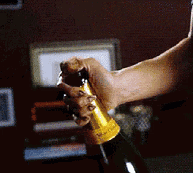 Popping Champagne Bottle GIFs