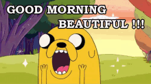 Good Morning Beautiful GIF - Good Morning Beautiful Jake Adventure Time GIFs