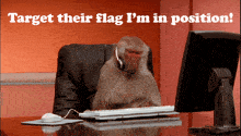 a monkey wearing a headset sits at a desk in front of a computer with the words target their flag