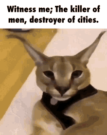 floppa caracal witness me killer of men destroyer of cities