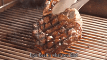 Epic Bamz Is What You Find GIF - Epic Bamz Is What You Find GIFs