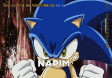 Sonic Oyun GIF - Sonic Oyun GIFs