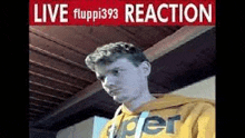 Live Fluppi393 Reaction GIF - Live Fluppi393 Reaction GIFs