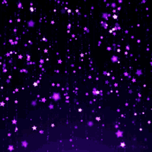 purple stars on a dark purple background