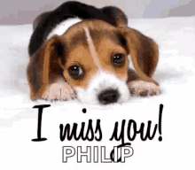 Miss You I Miss You Philip GIF - Miss You I Miss You Philip GIFs