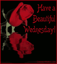 Have A Beautiful Wednesday GIF - Have A Beautiful Wednesday GIFs