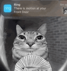 a cat is holding a fan of money in front of a ring app notification