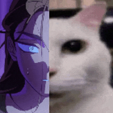 a close up of a cat 's face next to a drawing of a woman .