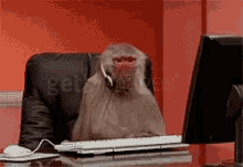 monkey typing gif