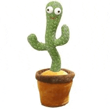 Goofy Cactus GIF - Goofy Cactus GIFs