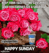 You Got This Sunday Quotes GIF