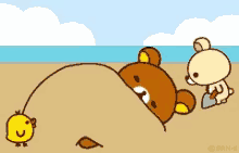 Beach Teddy Bear GIF - Beach Teddy Bear GIFs