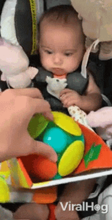 Surprised Viralhog GIF - Surprised Viralhog Baby GIFs