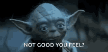 Yoda GIF - Yoda GIFs
