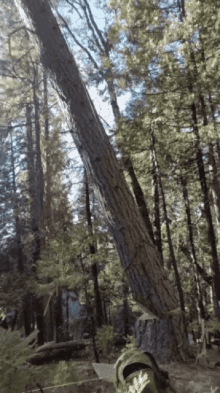 Tree Falling GIFs | Tenor