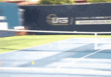 Dustin Brown Tweener GIF - Dustin Brown Tweener Tennis GIFs