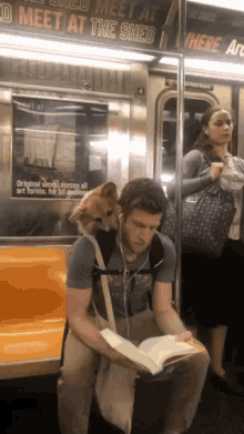 Dog Subway GIF - Dog Subway Reading GIFs