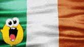 a cartoon smiley face with big eyes is standing in front of an irish flag