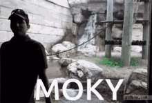 Moky Monkey GIF - Moky Monkey Spin GIFs