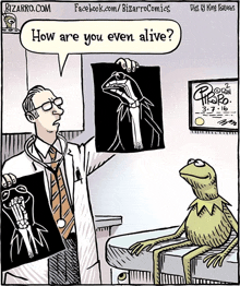 a cartoon of a doctor talking to kermit the frog