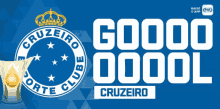 Cruzeiro Time De Futebol GIF
