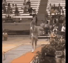That Is Going To Leave A Bruise. GIF - Gymnastic Horse Fail GIFs