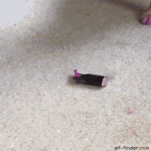 Lipstick Dog GIF - Lipstick Dog GIFs