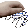 a close up of a person 's hand holding a drawing of a spider .