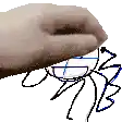 a close up of a person 's hand holding a drawing of a spider .
