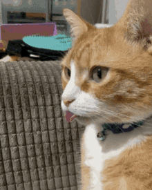 Charlie Cat GIF - Charlie Cat Blep GIFs