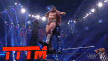 a wrestling match is being shown on tv and the word tim is visible