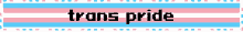 pixel pride