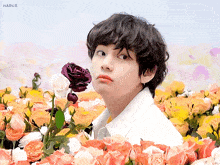 a person standing in a field of flowers with the name haruz on the bottom left