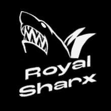 Sharx Casino GIF - Sharx Casino Royal Shark GIFs