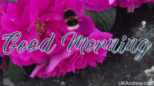 Good Morning Flowers GIF - Good Morning Morning Flowers GIFs
