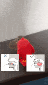 a red stuffed animal sits on a table next to a drawing of a person 's mouth and tongue