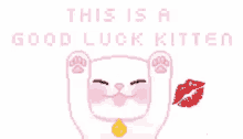 Good Luck Kitten Kisses GIF - Good Luck Kitten Good Luck Kisses GIFs