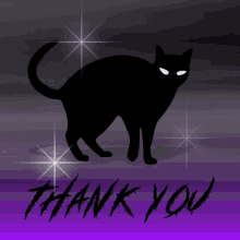 Purple Black Cat GIF - Purple Black Cat Cat GIFs