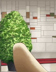 a plant in a pot sits in front of a wall