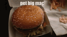 Pet Petting GIF - Pet Petting Big Mac GIFs