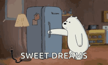 sleep nitez fridge ice bear