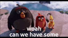 Woah Can We Have Some GIF - Woah Can We Have Some Angry Birds GIFs