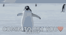 Coming To Get You Penguin GIF