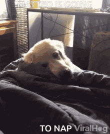 Matteo Is Going To Nap GIF - Matteo Is Going To Nap GIFs