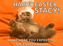 a cat is wearing an easter bunny hat and laying on its back .