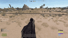 a screenshot of a video game shows a horse in the desert with the number 307 on the bottom right